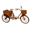 Kaz_Creations Bicycle Bike Trike - png gratuito GIF animata
