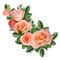 roses - png gratis GIF animasi