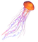 jellyfish - png gratuito GIF animata