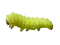 caterpillar - png gratuito GIF animata