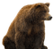 ours - bezmaksas png animēts GIF
