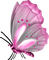pink butterfly - ingyenes png animált GIF
