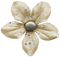 Flower Blume Button beige - zdarma png animovaný GIF
