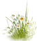spring flowers Bb2 - PNG gratuit GIF animé