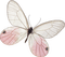 dulcineia8 borboletas - 免费PNG 动画 GIF