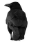 crow katrin - Free PNG Animated GIF