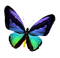 ✶ Butterfly {by Merishy} ✶ - ilmainen png animoitu GIF