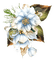 vintage flowers - Free PNG Animated GIF