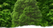 Wald - zdarma png animovaný GIF