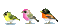 Птици - Darmowy animowany GIF animowany gif