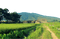 landscape, nature - zdarma png animovaný GIF