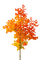 tree autumn - PNG gratuit GIF animé