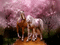 chevaux ** - Darmowy animowany GIF animowany gif