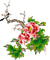 soave deco branch flowers oriental pink green - gratis png animerad GIF