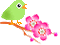 birds katrin - Free animated GIF Animated GIF