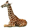 Żyrafa... - gratis png animerad GIF