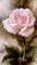 bloem - Darmowy animowany GIF animowany gif