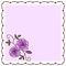 Fond violet avec rose violette Debutante fleurs purple bg purple flower purple rose