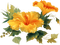 fiori - zdarma png animovaný GIF