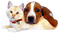 Kaz_Creations Dogs Dog Pup 🐶Cats Cat Kitten - bezmaksas png animēts GIF