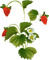 branch katrin - безплатен png анимиран GIF