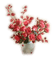 charmille _ fleurs - PNG gratuit GIF animé