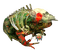cursed bloodstone necromancer frog - zdarma png animovaný GIF