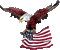 Kaz_Creations America American  Birds Bird - Bezmaksas animēts GIF animēts GIF