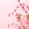 Pink Flowers Background - gratis png animerad GIF