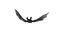 bat - PNG gratuit GIF animé