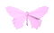 Butterfly - 無料のアニメーション GIF アニメーションGIF