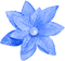 Christmas.Flower.Blue - 免费PNG 动画 GIF
