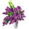violeta - zdarma png animovaný GIF