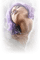 violeta - gratis png animerad GIF
