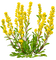 fleurs - бесплатно png анимированный гифка