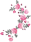 soave deco flowers rose animated branch black - Free animated GIF Animated GIF