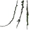 roots - 免费PNG 动画 GIF