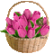 Basket of Animated Pink Tulips