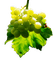 Tournesol94 fruit - бесплатно png анимированный гифка