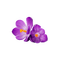 kikkapink deco scrap purple flowers