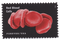 red blood cells - darmowe png animowany gif