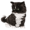 Poes - 免费PNG 动画 GIF