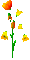 Animated.Flowers.Orange.Yellow - By KittyKatLuv65 - GIF animé gratuit GIF animé