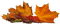 Осенние листья - besplatni png animirani GIF