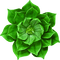 Flower - безплатен png анимиран GIF