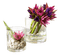 kwiaty - PNG gratuit GIF animé
