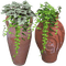 Bloemen en Planten - Free PNG Animated GIF