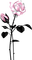 Kaz_Creations Deco Flowers Colours - 免费PNG 动画 GIF