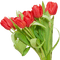 image encre couleur printemps coin fleurs tulipes edited by me