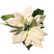 White Flower.Fleur.Victoriabea - PNG gratuit GIF animé